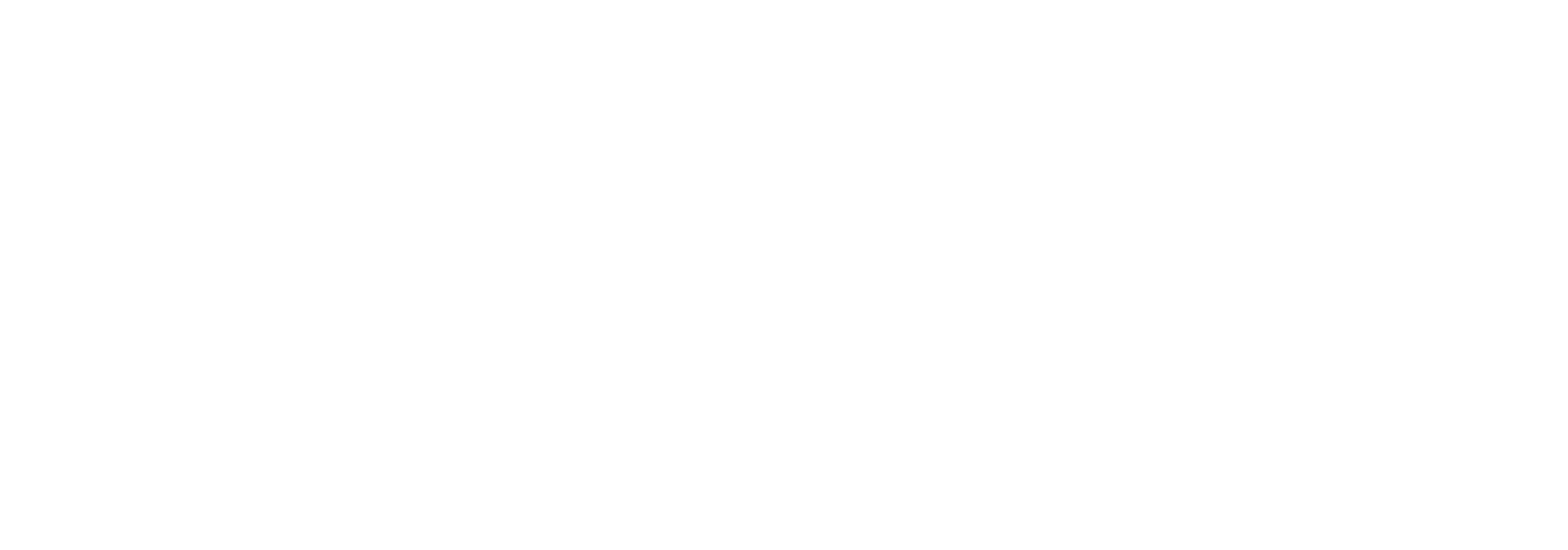 The Flow Architect